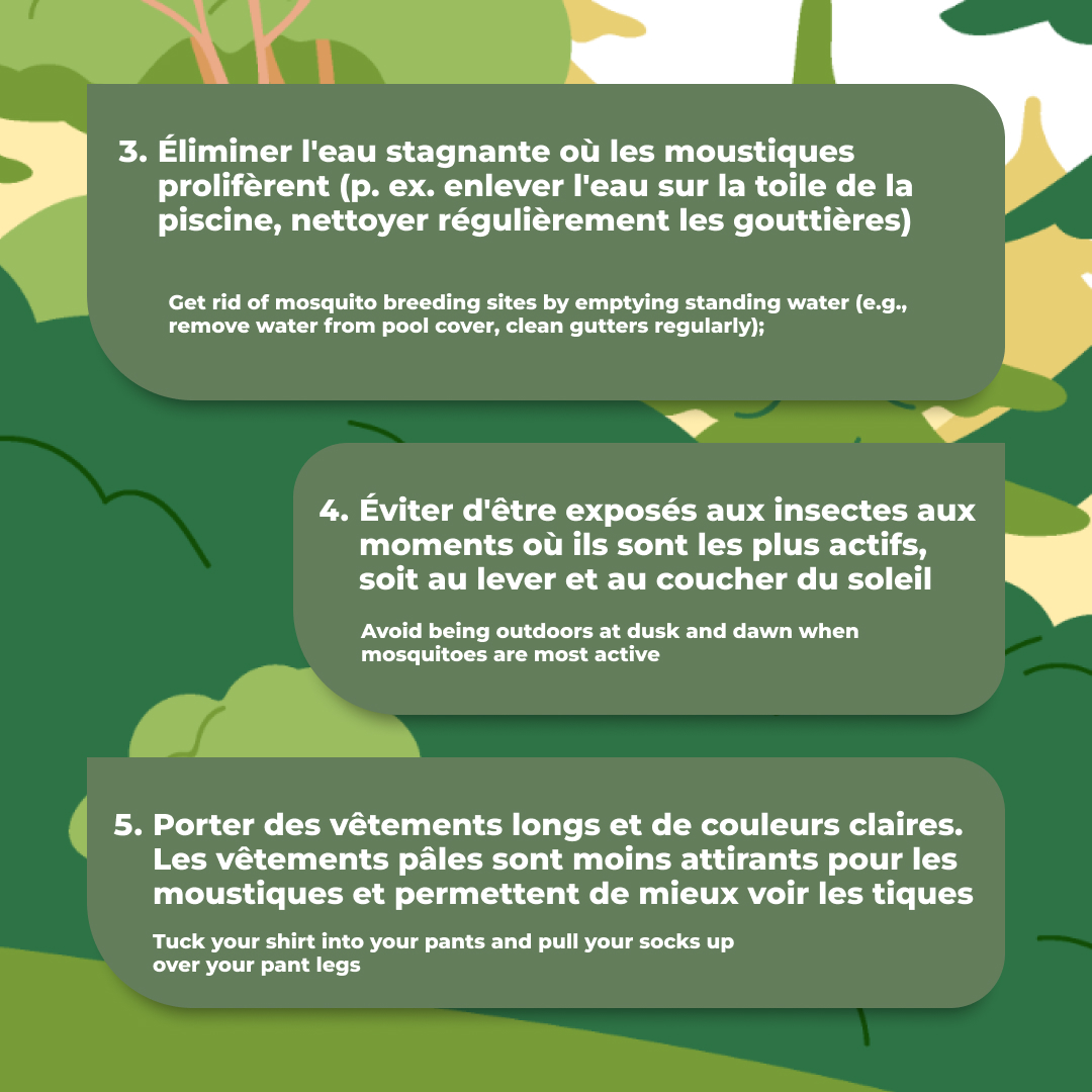 Kit D’extraction De Venin - Pompe à Succion Pour Piqûres D’insectes, Morsures - Trousse De Premiers Soins Pour Camping, Randonnée