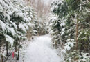 Frette ou pas frette, on y va!