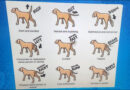 Un chien aussi a son langage