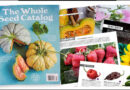 Mon catalogue de semences préféré