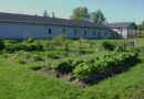 Invitation à participer à la 17e saison du Jardin communautaire de la région