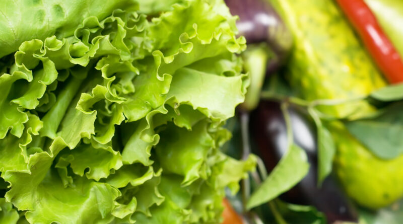 Ravigoter vos salades avec ce petit truc