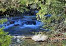 Réduire sa consommation d’eau en temps de sécheresse, ce n’est pas sorcier. 