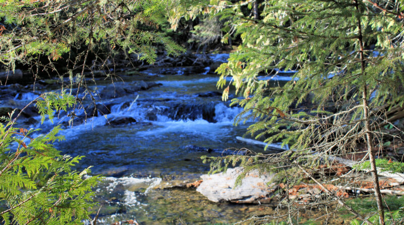 Réduire sa consommation d’eau en temps de sécheresse, ce n’est pas sorcier. 