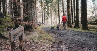 Trop connectés? Et si le plein air devenait une solution