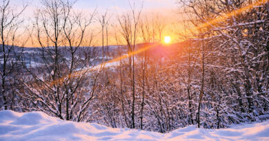 Là où la nature change de visage