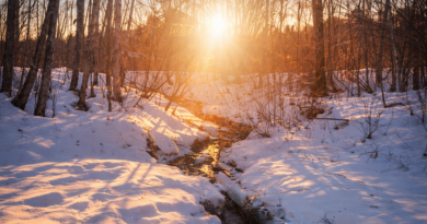 Entre ombre et lumière : quand la couleur raconte une histoire