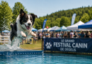 Festival canin de dégelis